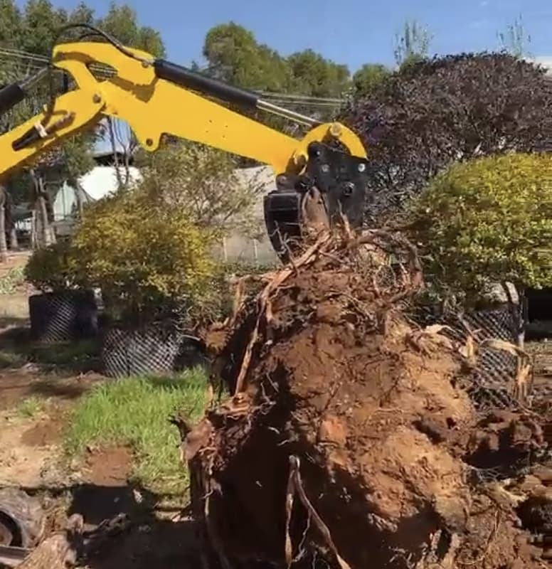 What was the mini excavator doing?